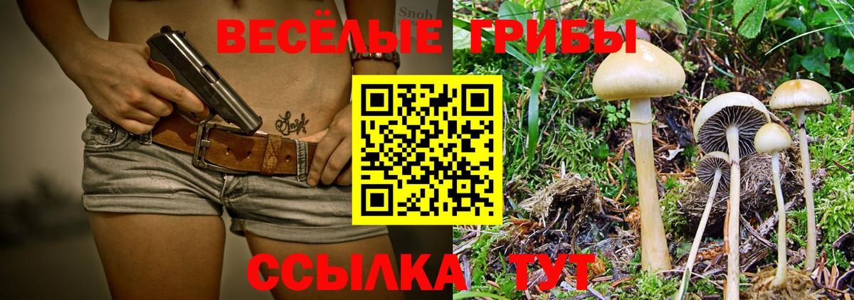 Галлюциногенные грибы ЛСД  Вход с VPN  Северск  закладка  Псилоцибиновые грибы Cubensis 